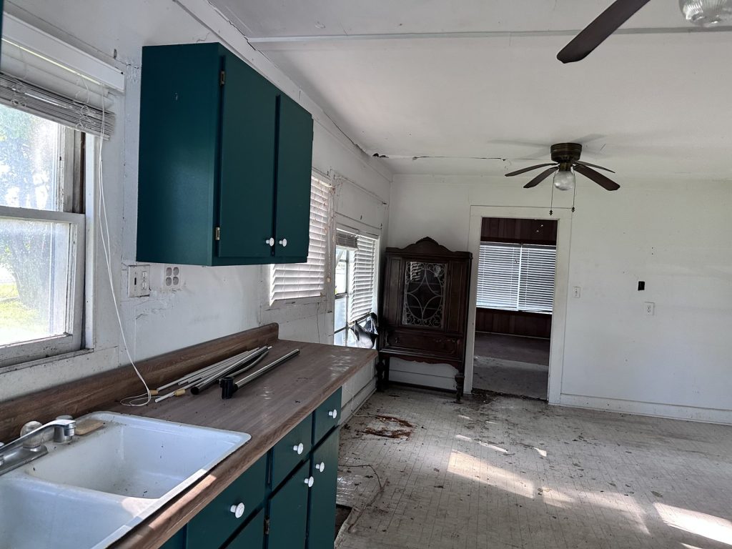 Vintage kitchen cabinetry in long-vacant as-is home purchased in Alvin TX