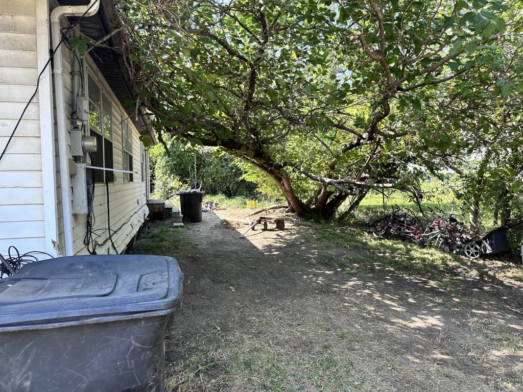 Overgrown backyard at an inherited estate property in Groveland Terrace, Houston TX