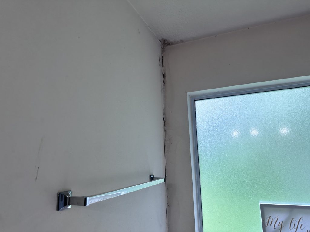 Bathroom in a Teal Run, Missouri City TX home sold as-is