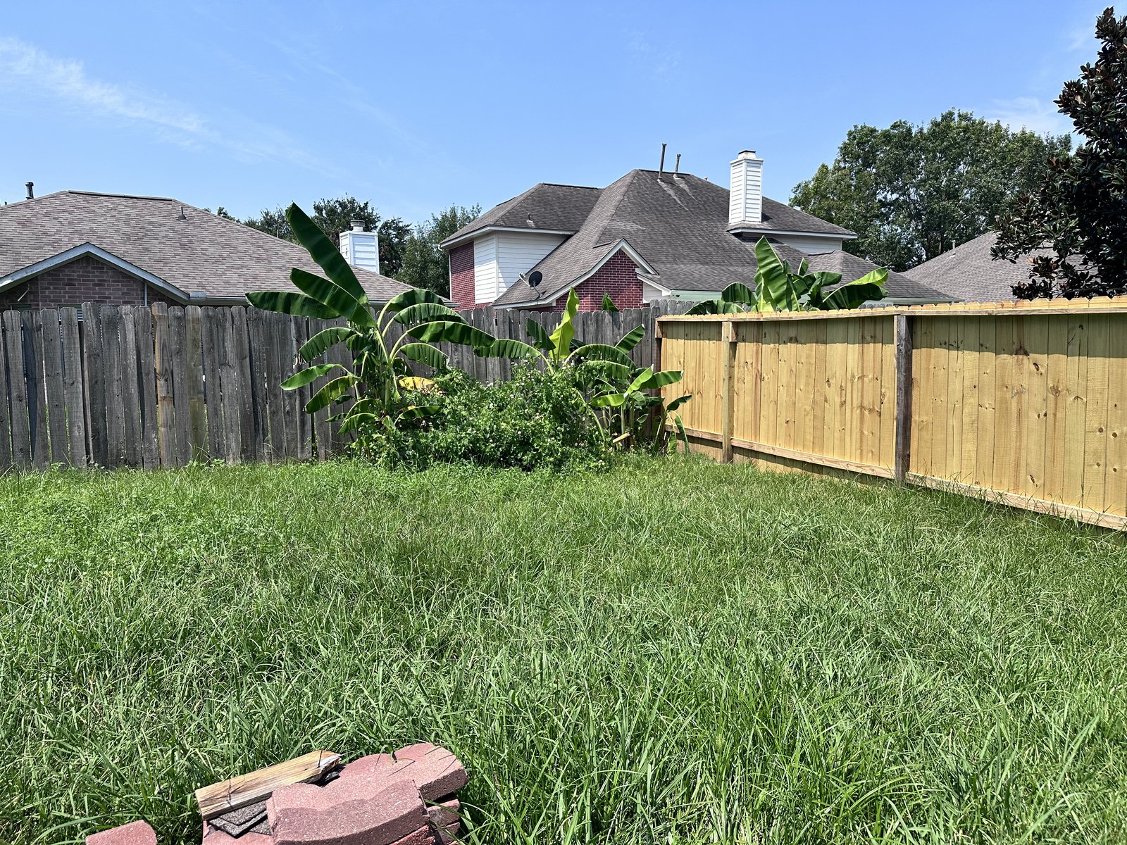 Overgrown backyard with mixed fence panels at a Stafford, TX home purchased for cash