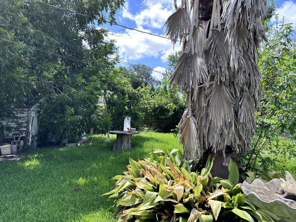 Shaded backyard of Golfcrest house bought for cash in Houston TX