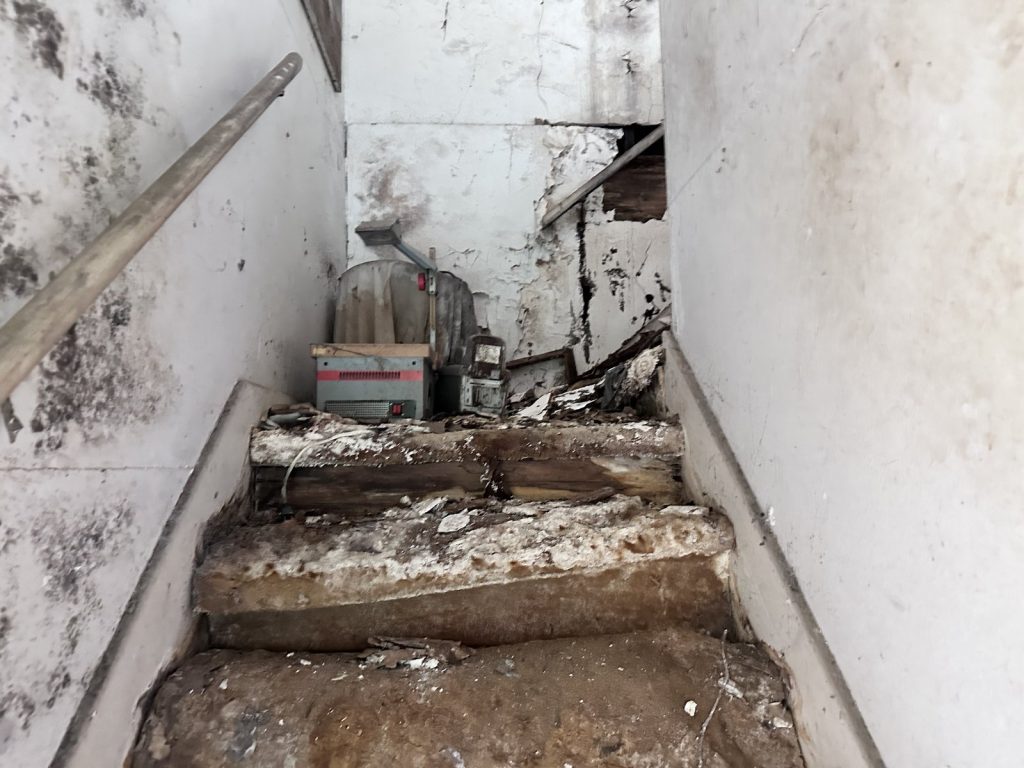 Heavy mold growth and rotted stairs in Houston TX house sold as-is