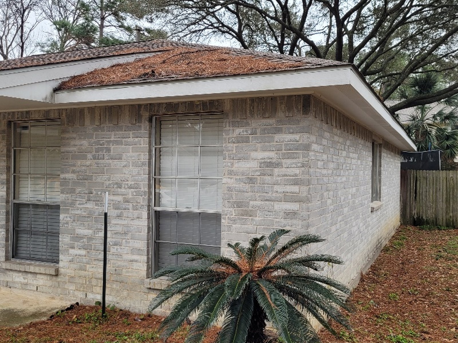 Roof buried under years of pine straw at a Charterwood home in Spring, TX purchased for cash
