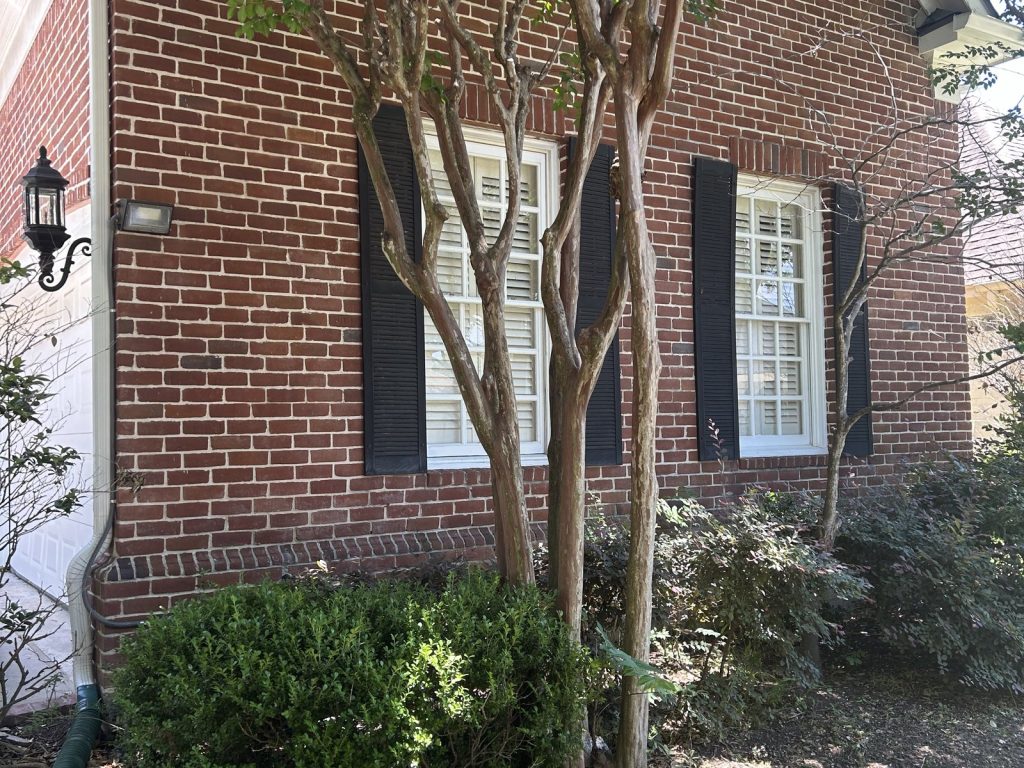 Brick exterior and crape myrtles at an Energy Corridor Houston TX house bought for cash